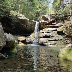 Meet your Posher, Lorrie